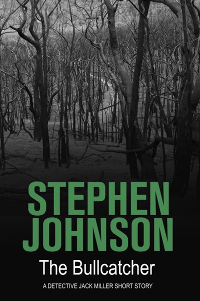 The Bullcatcher by Stephen Johnson